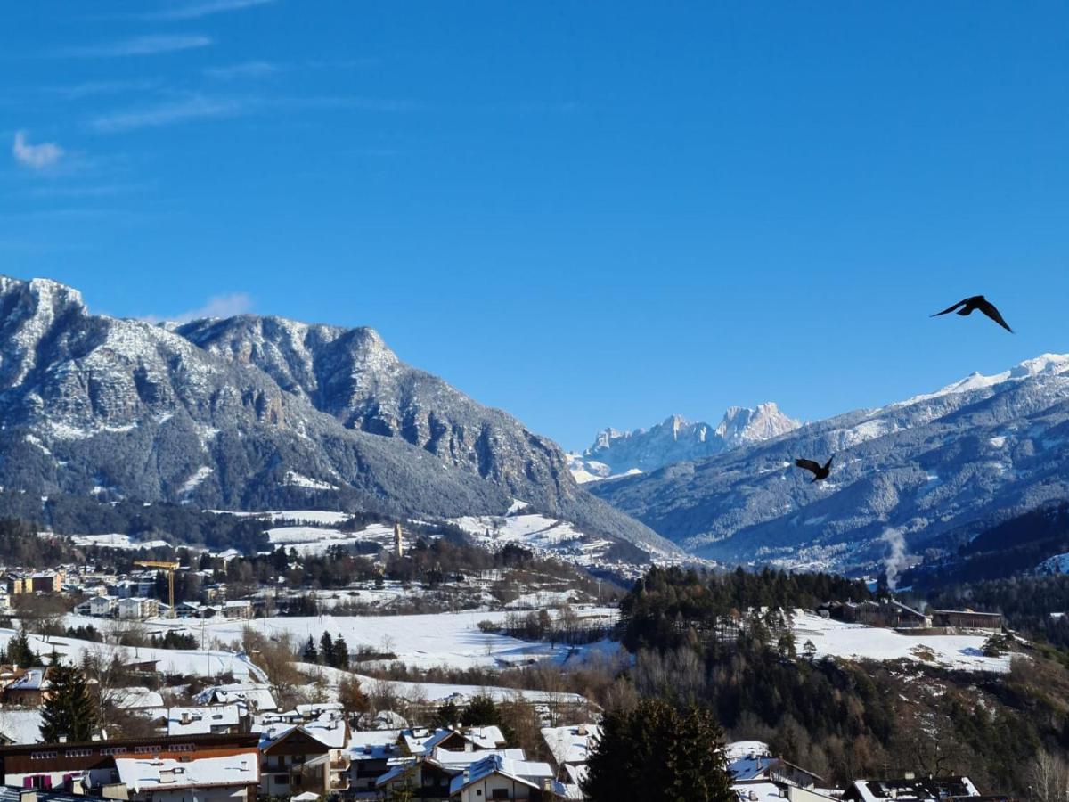 Terrazza Sulle Dolomiti Apartment Castello-Molina di Fiemme Luaran gambar